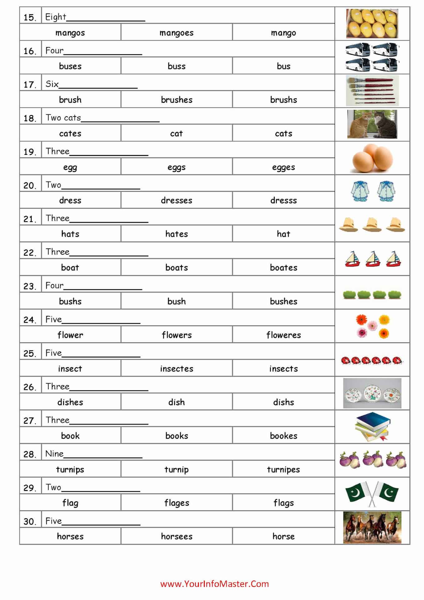 Easy way of Teaching Singular and Plural Nouns - Your Info Master