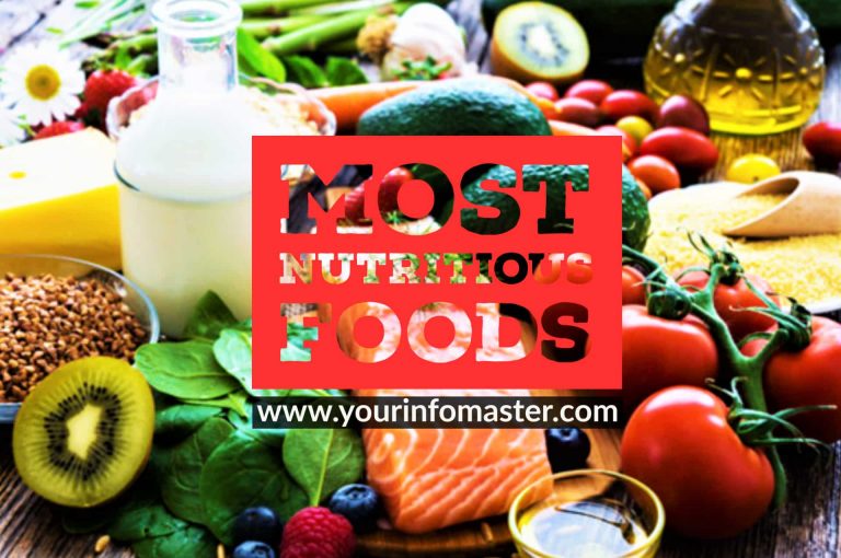 foods to eat every day, healthy foods for brain power, list of nutritious foods, most energy dense foods, most healthy vegetables, most nutritious canned foods, most nutritious dog foods, Most nutritious foods