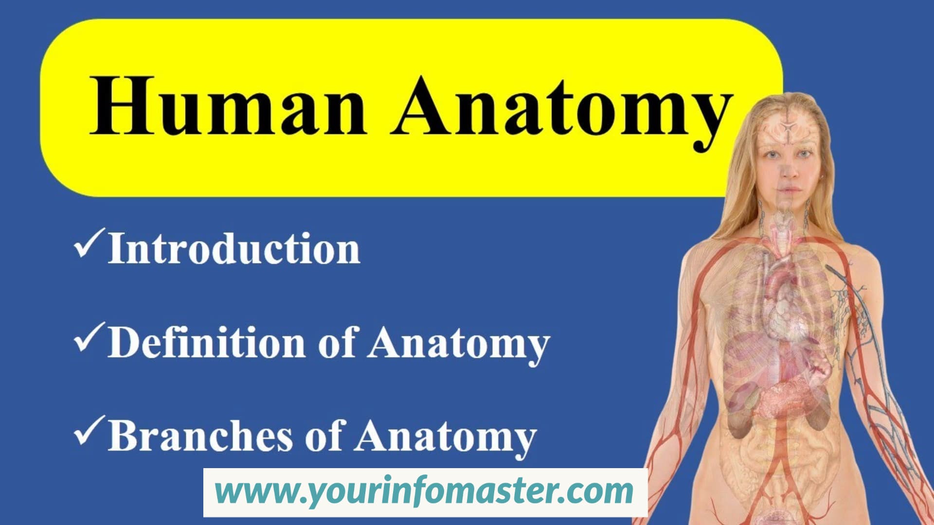 Anatomy, branches of anatomy, types of anatomy, what is anatomy, gross anatomy, macro anatomy, micro anatomy, regional anatomy, systemic anatomy, cytology, biology, physiology, applied anatomy, cross section anatomy, embryology, histology, pathological anatomy, developmental anatomy, radiology