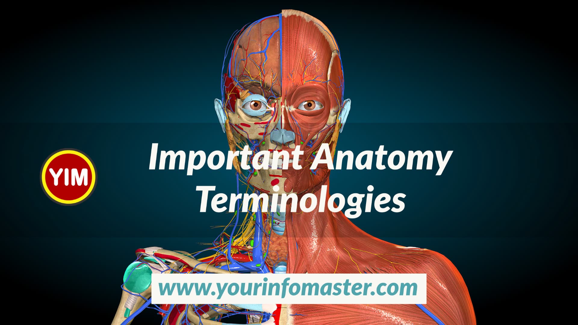 Anatomy, Anatomy Terminology, Important Anatomy Terminologies, medical terminology, medical terminology book, Pharmacy Technician, what is anatomy
