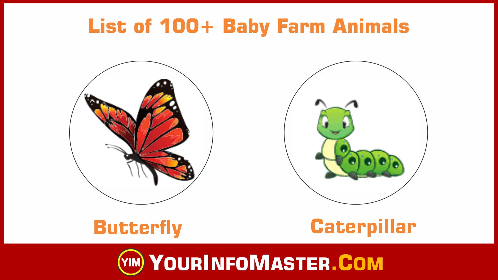 baby farm animals names Archives - Your Info Master