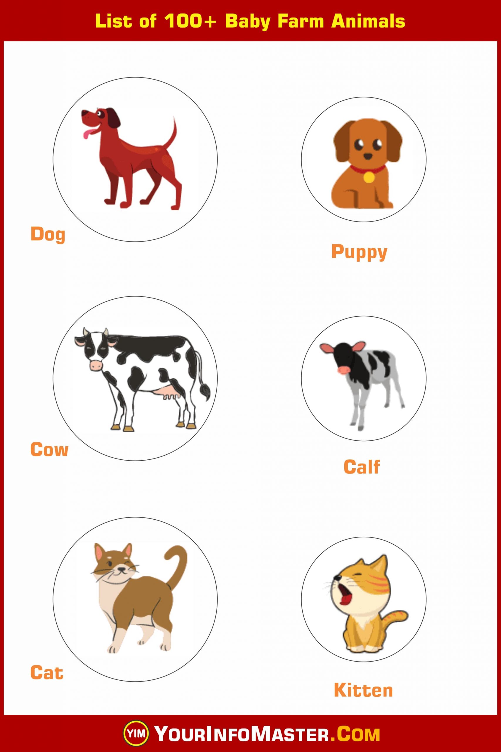 Animal Names, animal names for baby, Baby Animal Names, baby animal names list, Baby Animals in English, Baby Farm Animals, baby farm animals names