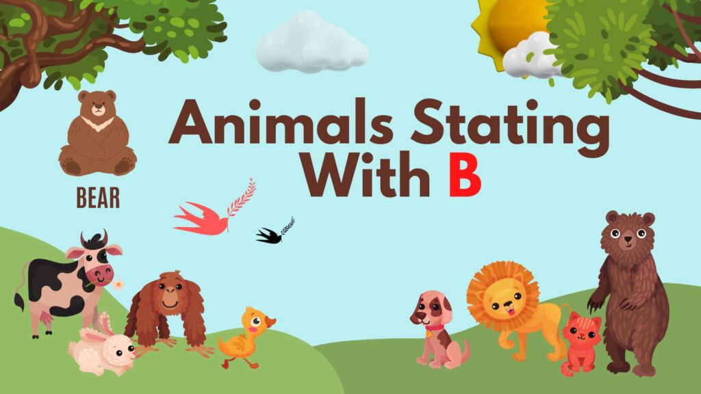 5 Letter Animal Names, 5 Letter Animal Starting With B, Animal List, Animal Names in English, Animal Names Starting With B, Animal Starting With B, Animal Vocabulary, Animals Starting With B, Animals That Start With B, English, English Grammar, English Vocabulary, English Words, List of Animal Names That Start With B, Vocabulary, Words That Start with b