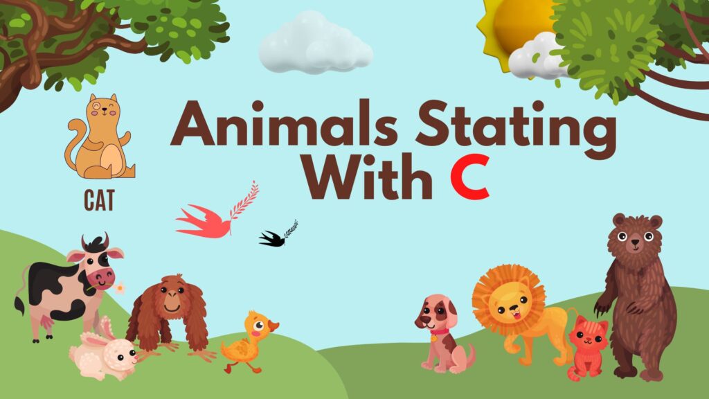 5 Letter Animal Names, 5 Letter Animal Starting With C, Animal List, Animal Names in English, Animal Names Starting With C, Animal Starting With C, Animal Vocabulary, Animals Starting With C, Animals That Start With C, English, English Grammar, English Vocabulary, English Words, List of Animal Names That Start With C, Vocabulary, Words That Start with c