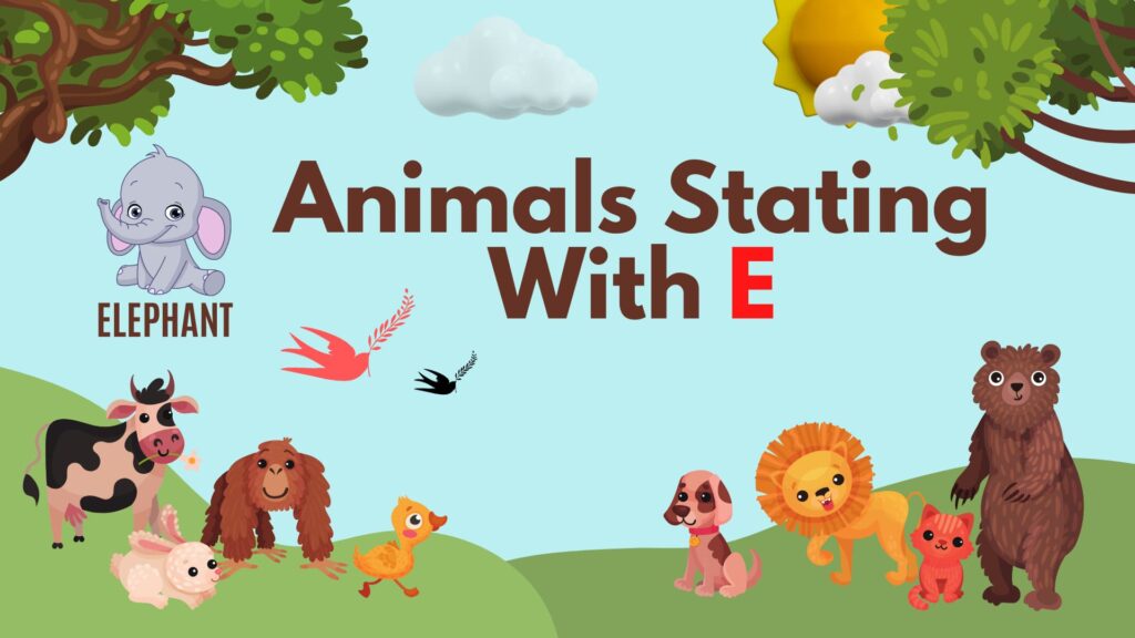 5 Letter Animal Names, 5 Letter Animal Starting With E, Animal List, Animal Names in English, Animal Names Starting With E, Animal Starting With E, Animal Vocabulary, Animals Starting With E, Animals That Start With E, English, English Grammar, English Vocabulary, English Words, List of Animal Names That Start With E, Vocabulary, Words That Start with e