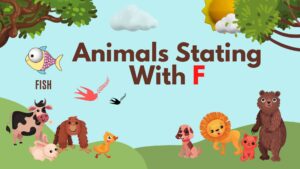 5 Letter Animal Names, 5 Letter Animal Starting With F, Animal List, Animal Names in English, Animal Names Starting With F, Animal Starting With F, Animal Vocabulary, Animals Starting With F, Animals That Start With F, English, English Grammar, English Vocabulary, English Words, List of Animal Names That Start With F, Vocabulary, Words That Start with F