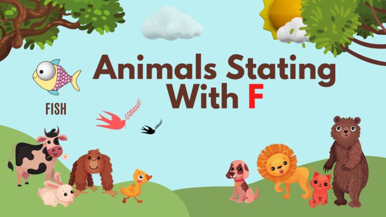 5 Letter Animal Names, 5 Letter Animal Starting With F, Animal List, Animal Names in English, Animal Names Starting With F, Animal Starting With F, Animal Vocabulary, Animals Starting With F, Animals That Start With F, English, English Grammar, English Vocabulary, English Words, List of Animal Names That Start With F, Vocabulary, Words That Start with F