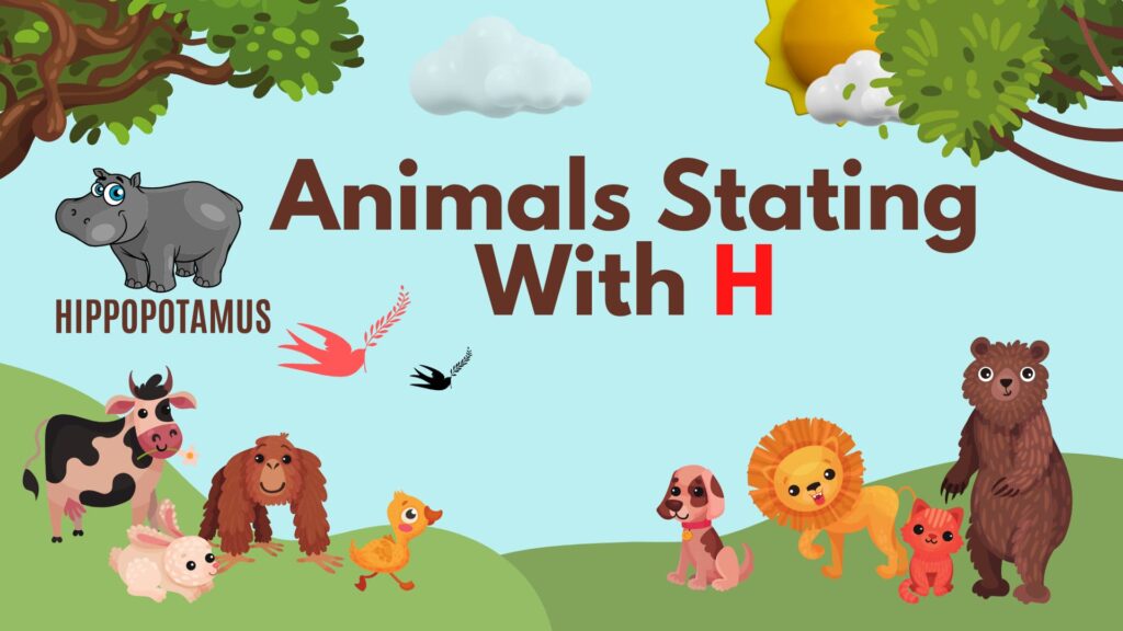 5 Letter Animal Names, 5 Letter Animal Starting With H, Animal List, Animal Names in English, Animal Names Starting With H, Animal Starting With H, Animal Vocabulary, Animals Starting With H, Animals That Start With H, English, English Grammar, English Vocabulary, English Words, List of Animal Names That Start With H, Vocabulary, Words That Start with H