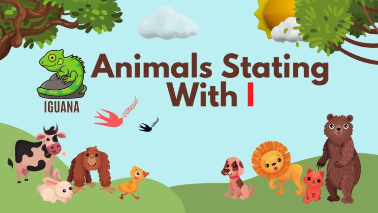 5 Letter Animal Names, 5 Letter Animal Starting With I, Animal List, Animal Names in English, Animal Names Starting With I, Animal Starting With I, Animal Vocabulary, Animals Starting With I, Animals That Start With I, English, English Grammar, English Vocabulary, English Words, List of Animal Names That Start With I, Vocabulary, Words That Start with i