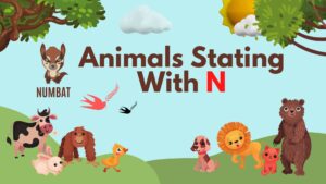 5 Letter Animal Names, 5 Letter Animal Starting With N, Animal List, Animal Names in English, Animal Names Starting With N, Animal Starting With N, Animal Vocabulary, Animals Starting With N, Animals That Start With N, English, English Grammar, English Vocabulary, English Words, List of Animal Names That Start With N, Vocabulary, Words That Start with N