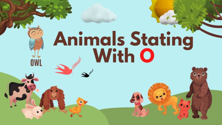 5 Letter Animal Names, 5 Letter Animal Starting With O, Animal List, Animal Names in English, Animal Names Starting With O, Animal Starting With O, Animal Vocabulary, Animals Starting With O, Animals That Start With O, English, English Grammar, English Vocabulary, English Words, List of Animal Names That Start With O, Vocabulary, Words That Start with o