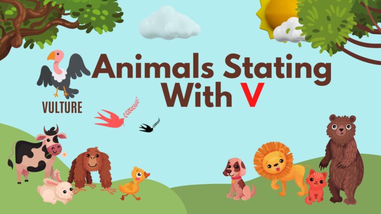 5 Letter Animal Names, 5 Letter Animal Starting With W, Animal List, Animal Names in English, Animal Names Starting With W, Animal Starting With W, Animal Vocabulary, Animals Starting With W, Animals That Start With W, English, English Grammar, English Vocabulary, English Words, List of Animal Names That Start With W, Vocabulary, Words That Start with W