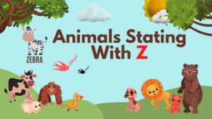 5 Letter Animal Names, 5 Letter Animal Starting With Z, Animal List, Animal Names in English, Animal Names Starting With Z, Animal Starting With Z, Animal Vocabulary, Animals Starting With Z, Animals That Start With Z, English, English Grammar, English Vocabulary, English Words, List of Animal Names That Start With Z, Vocabulary, Words That Start with Z