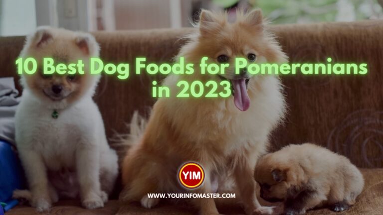 10 Best Dog Foods for Pomeranians in 2023