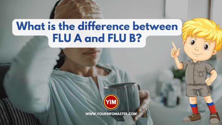 What is the difference between FLU A and FLU B