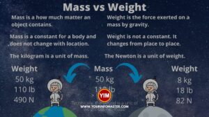 What is the difference between mass and weight