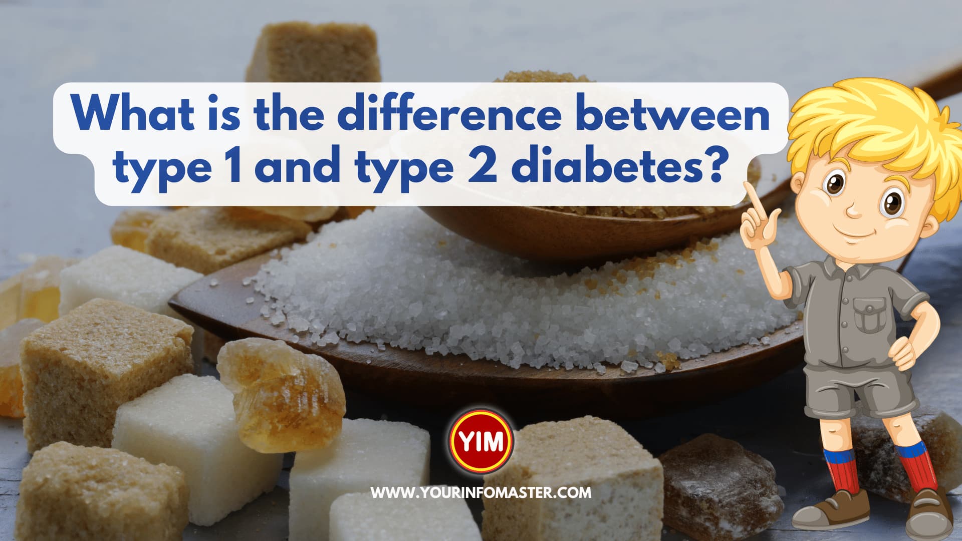What is the difference between type 1 and type 2 diabetes