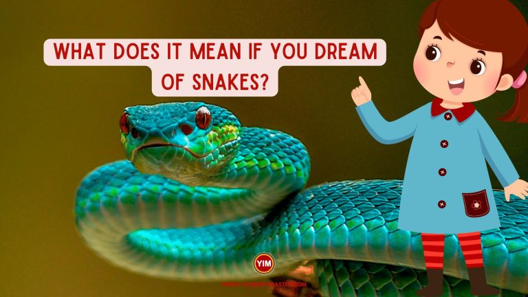 What does it mean if you dream of snakes