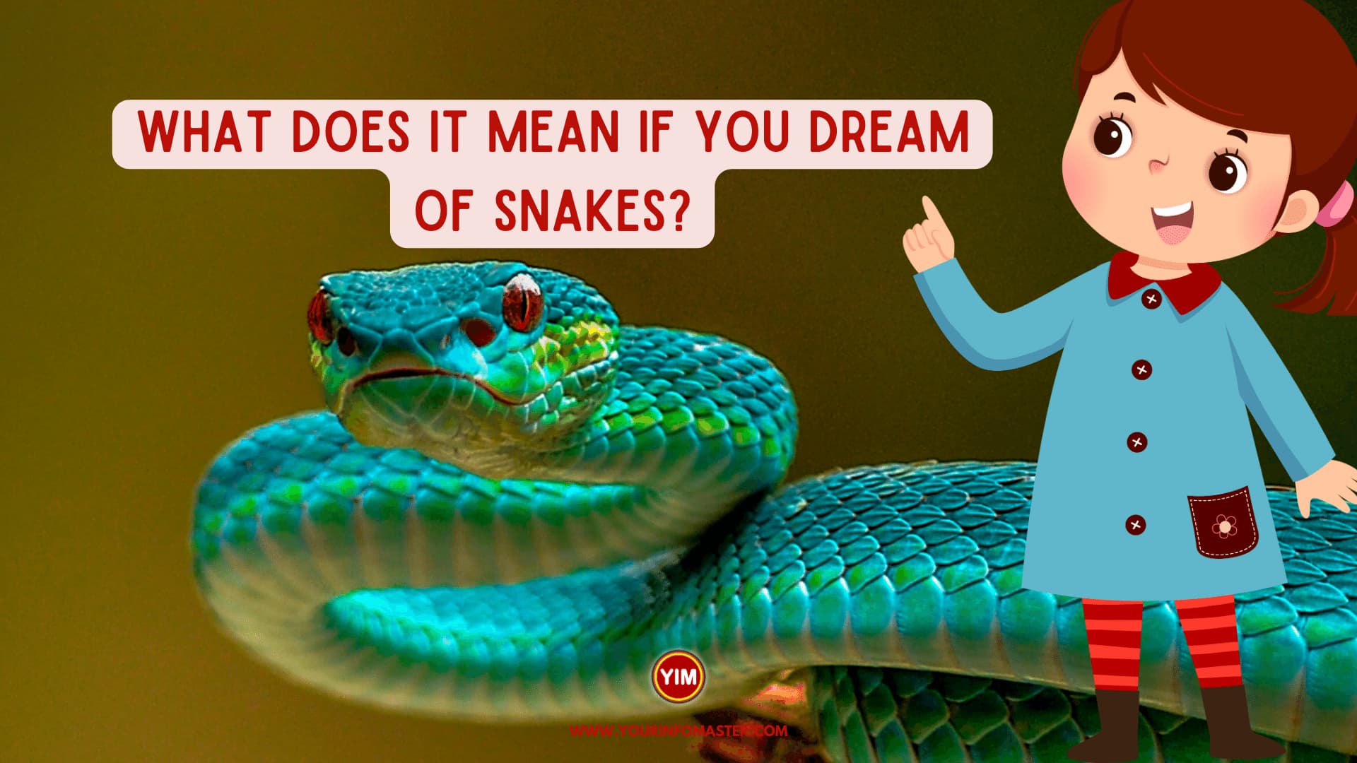 What does it mean if you dream of snakes