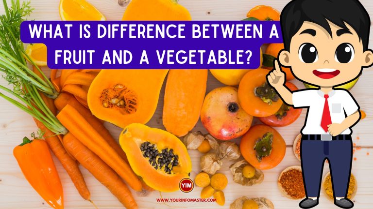 What is difference between a fruit and a vegetable