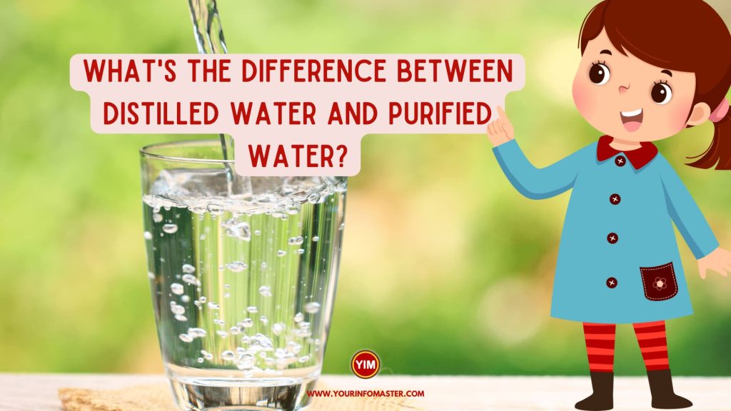 What is the difference between distilled water and purified water