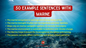 50 Sentences with Marine