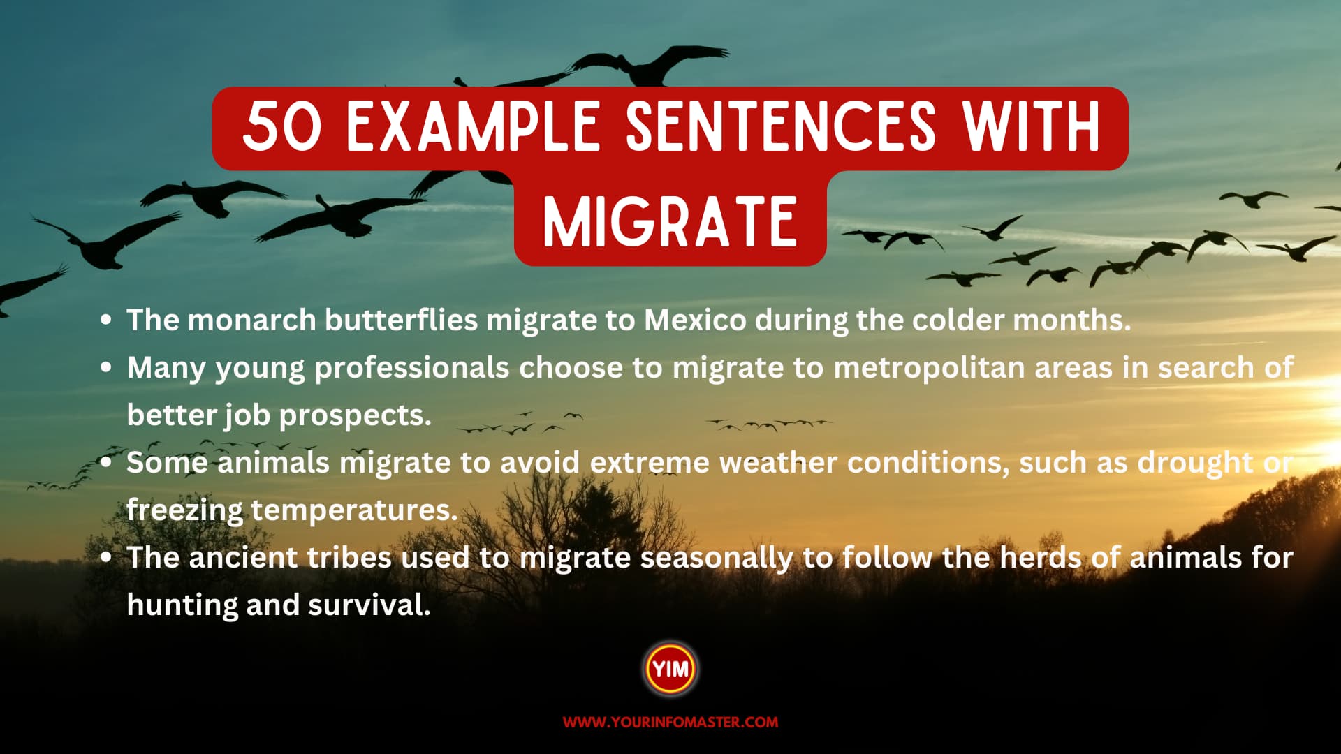 50 Sentences with Migrate