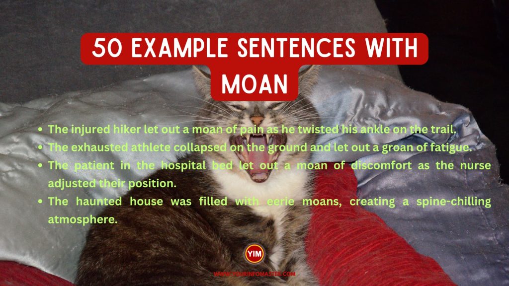 50 Sentences with Moan