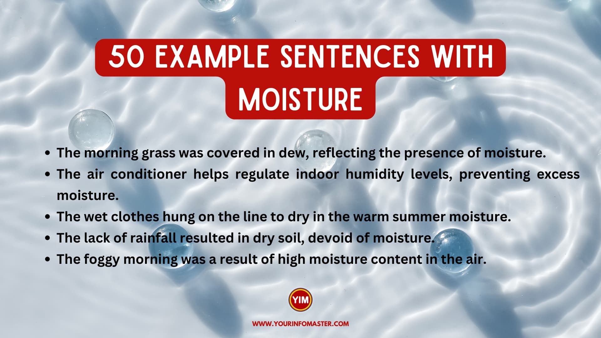 50 Sentences with Moisture