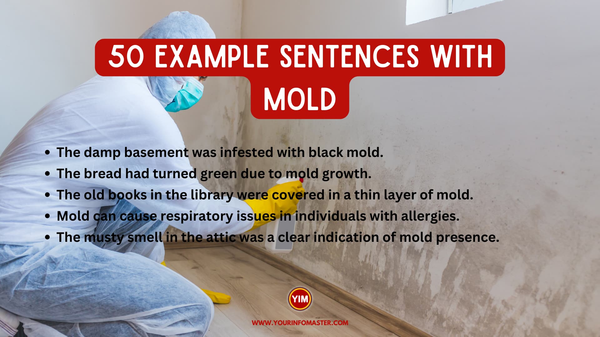 50 Sentences with Mold