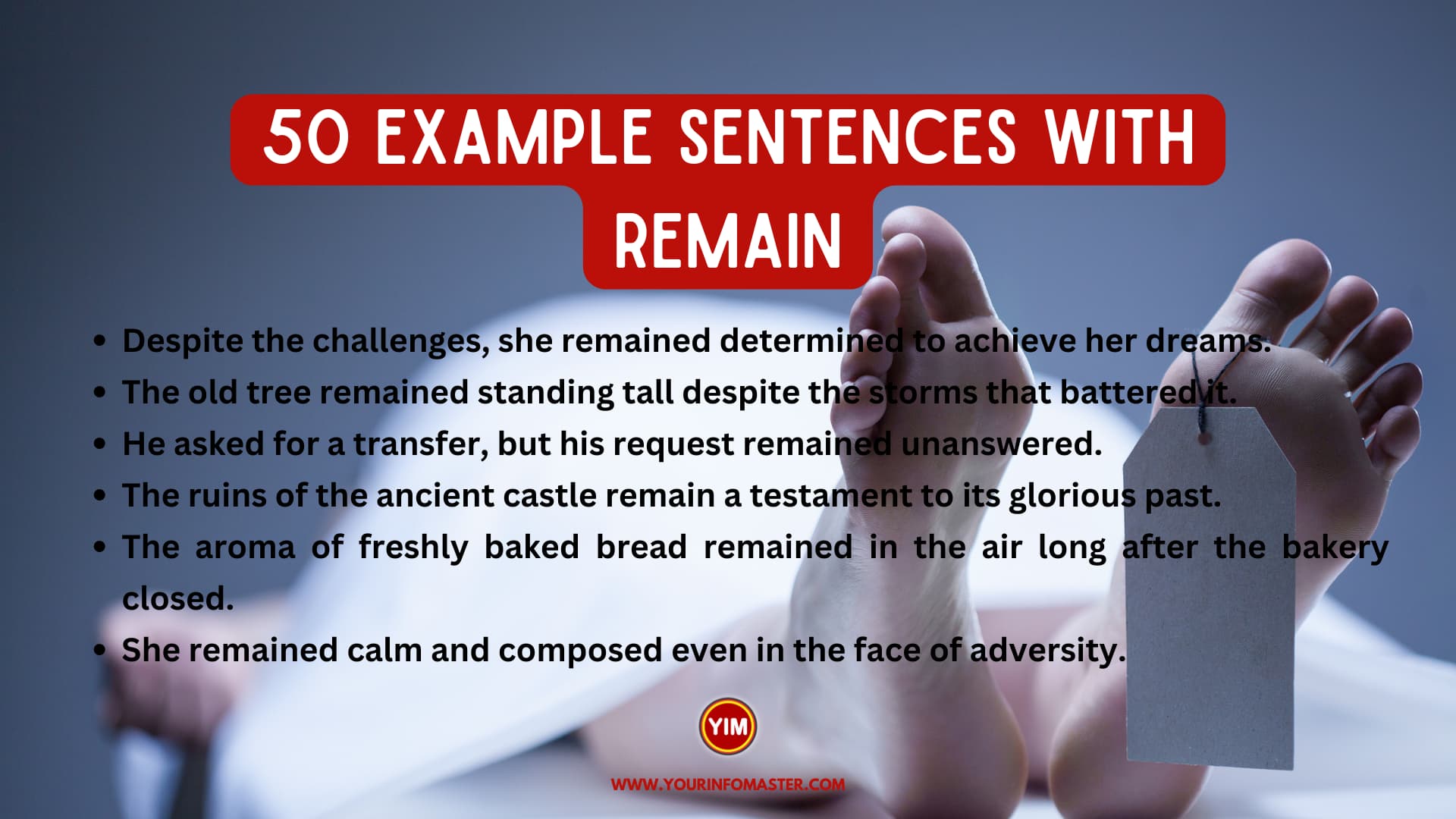 50 Sentences with Remain