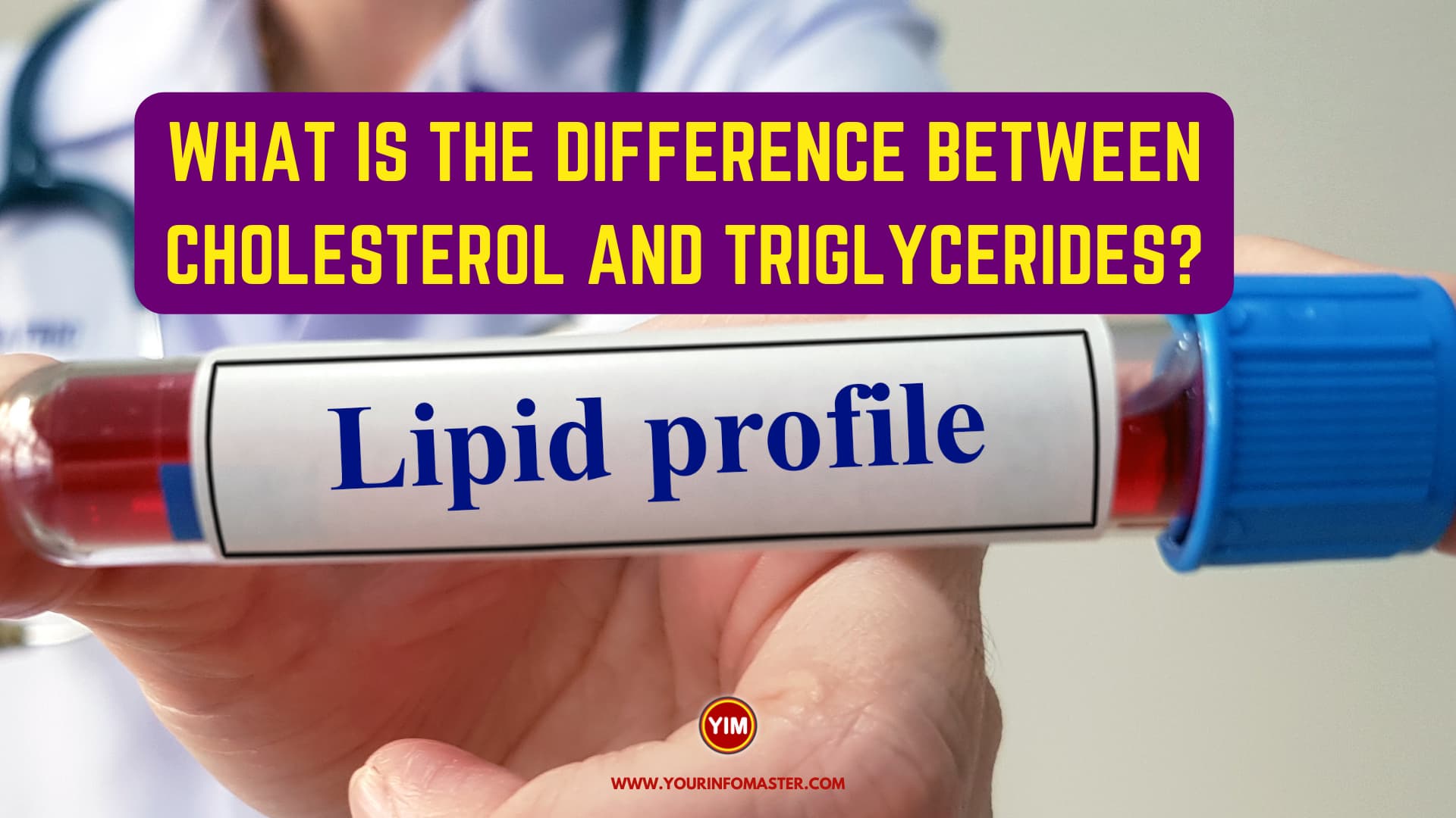 What is the difference between Cholesterol and Triglycerides