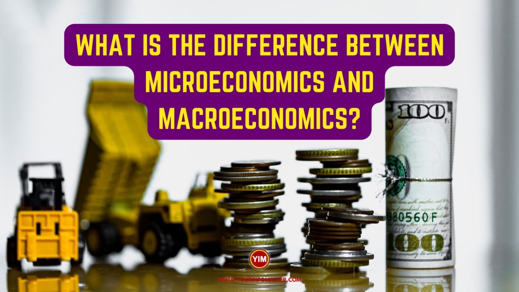 What is the difference between Microeconomics and Macroeconomics