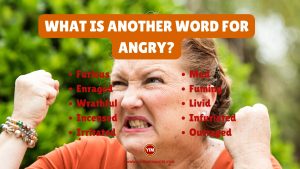 What is another word for Angry