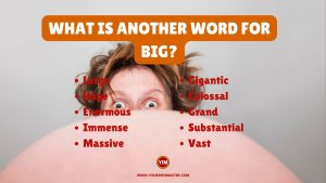 What is another word for Big
