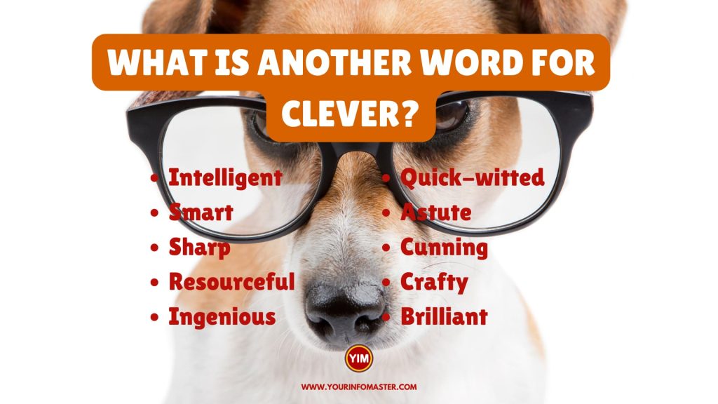 What is another word for Clever