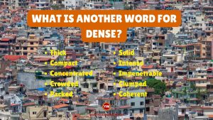 What is another word for Dense