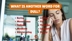 What is another word for Dull
