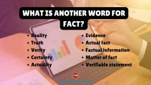 What is another word for Fact