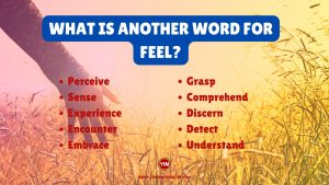 What is another word for Feel