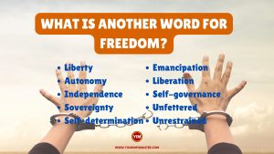 What is another word for Freedom