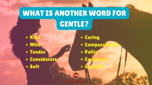 What is another word for Gentle