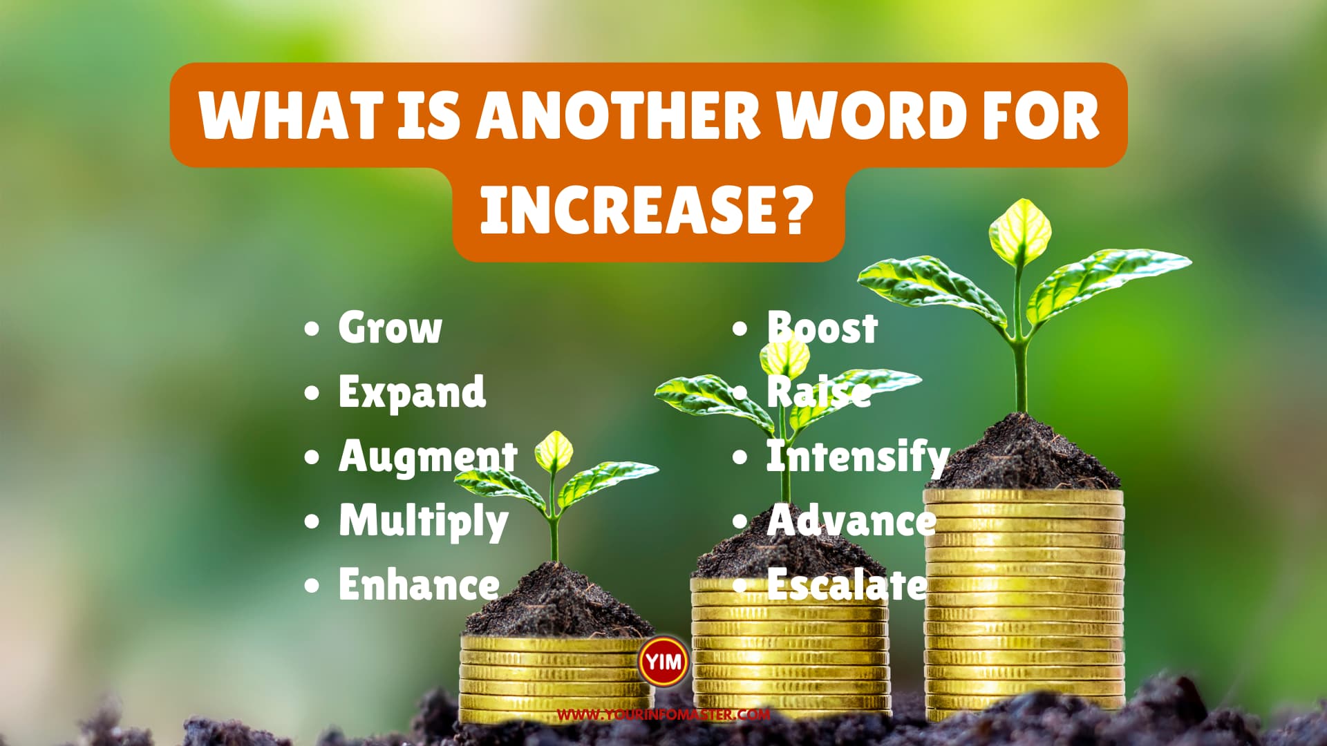 What is another word for Increase