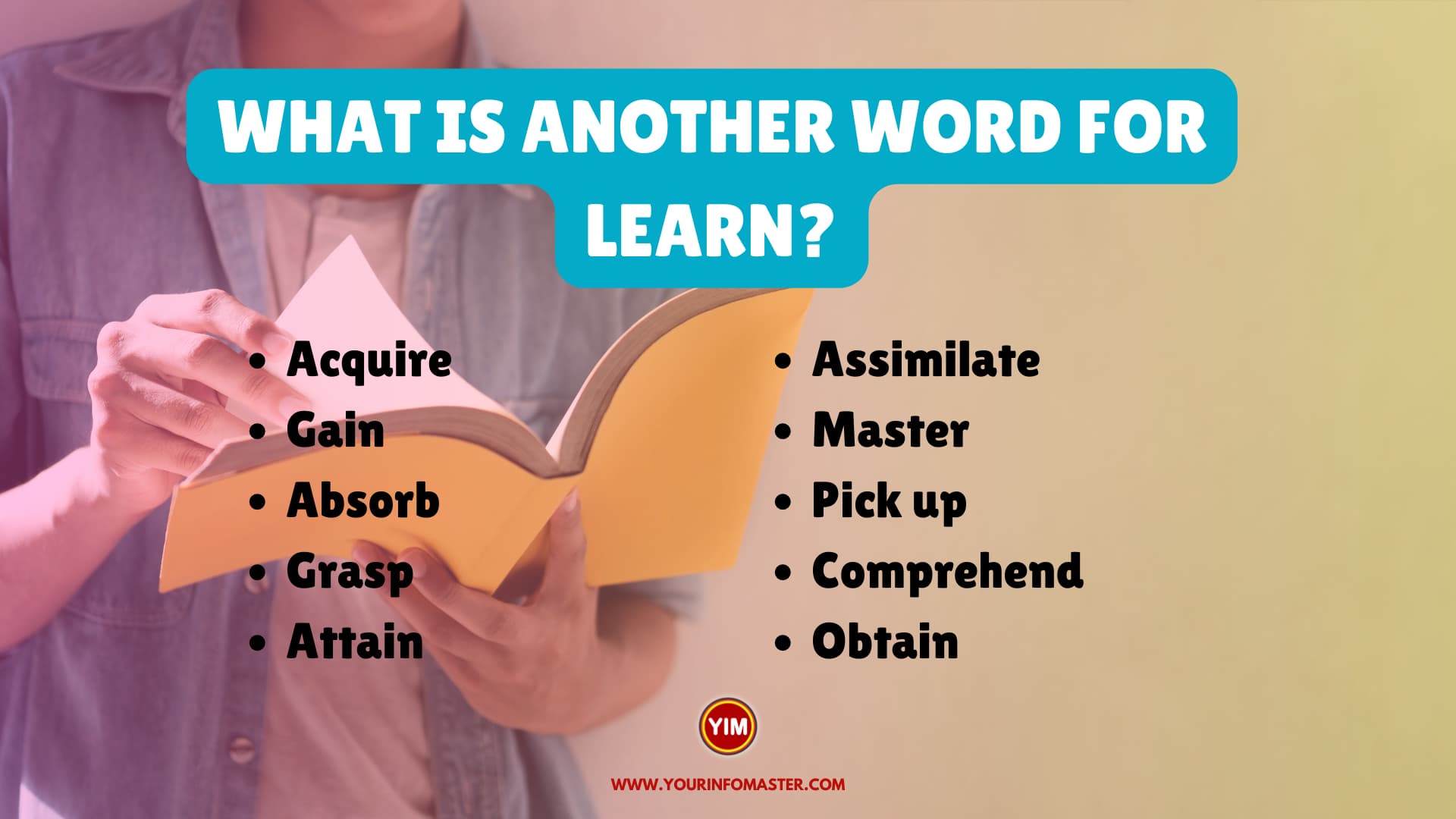 What is another word for Learn