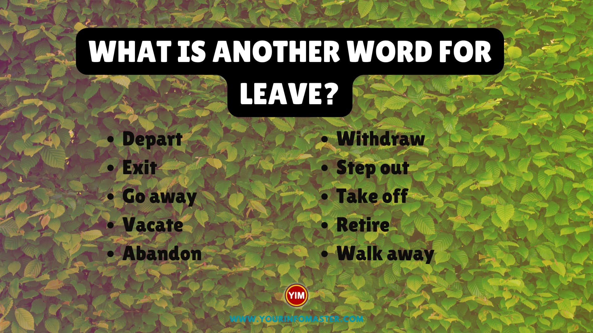 What is another word for Leave