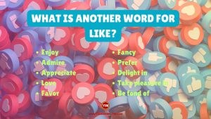 What is another word for Like
