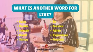 What is another word for Live