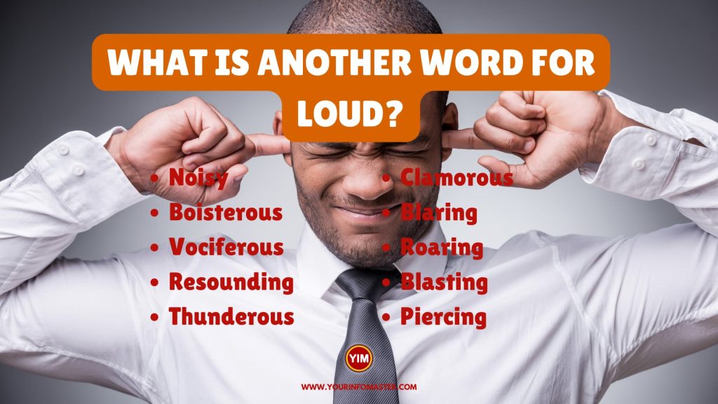 What is another word for Loud