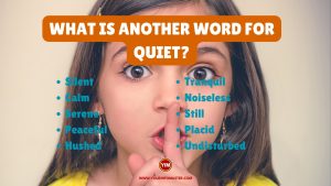 What is another word for Quiet
