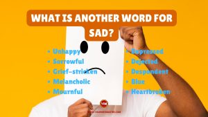 What is another word for Sad